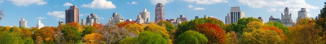 Panorama_panorama_nyc-travelsort