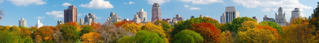 Panorama_nyc-travelsort