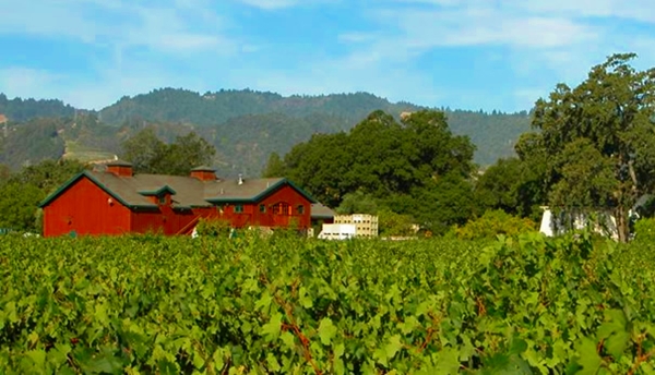 Salvestrin Winery, St. Helena, Napa 