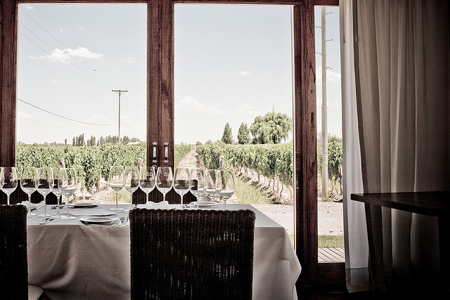 A heavenly view at a Mendoza wine tasting
