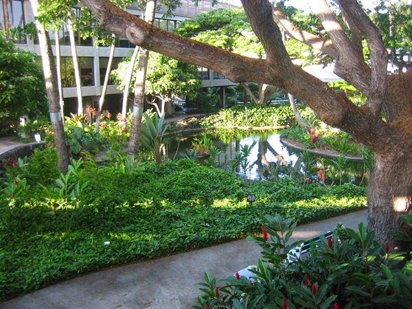 Best Airports for Kids-Outdoor courtyard and koi pond, Honolulu Airport 