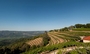Square_barnett%20vineyards-st%20helena-napa
