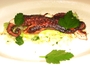 Square_maialino%20nyc%20restaurant%20review-seared%20octopus
