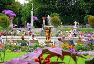 Medium_jardin%20du%20luxembourg-harshlight