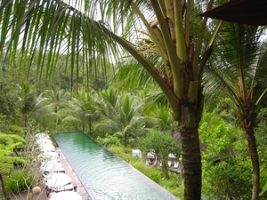 Medium_komaneka_bisma_bali_hotel_review-pool