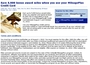 Square_5000_united_bonus_miles_after_1000_spend