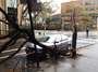 Square_hurricane_sandy_nyc-fallen_tree_2