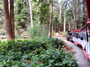 Square_stanley_park_miniature_train-_vancouver_with_kids-train_and_trees