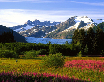 Featured_family_bucket_list-new_zealand