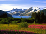 Square_family_bucket_list-new_zealand