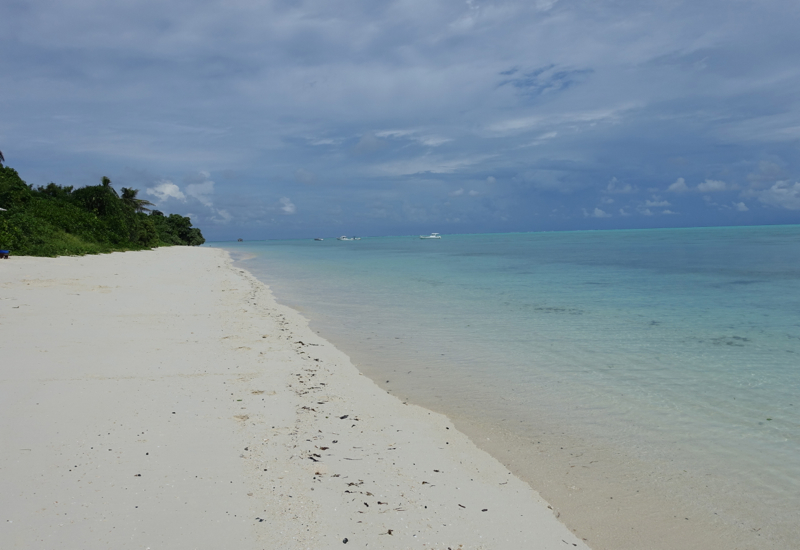 Best Beach in the World!