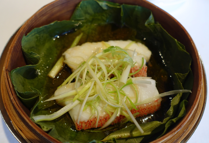 Steamed Garoupa Fillet, Lung King Heen