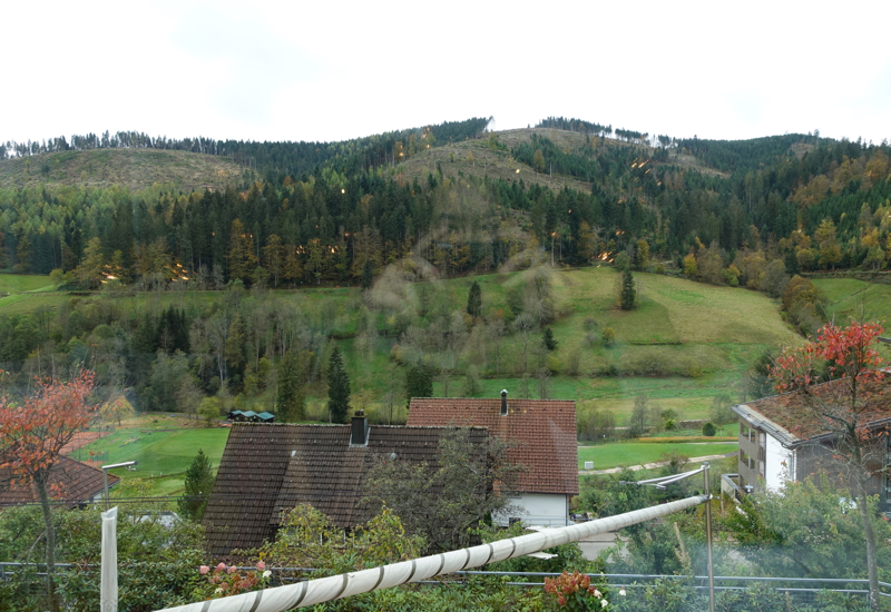 View from Silberberg Restaurant, Hotel Traube Tonbach