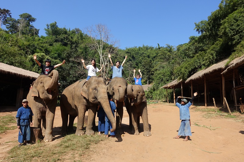 Mahout Experience, Anantara Golden Triangle Elephant Camp