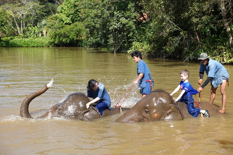 Elephant Drenching Me, Mahout Experience, Anantara Golden Triangle