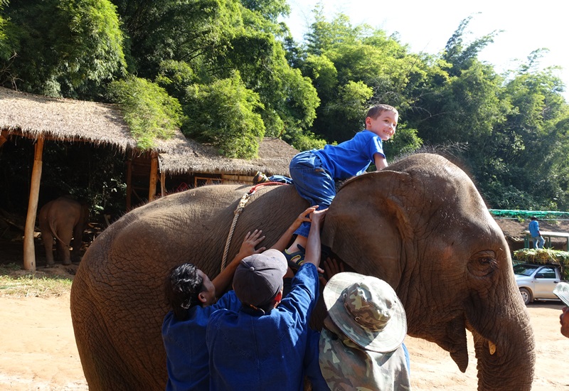 Mahout Experience at Anantara Golden Triangle Elephant Camp-Climbing Up on Elephant