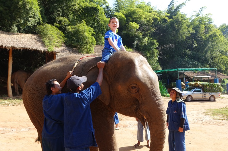 My 6 Year Old Riding an Elephant By Himself