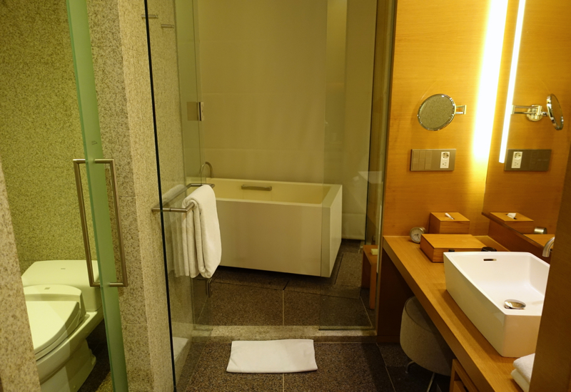 Review-Park Hyatt Seoul - Park Deluxe Room Bathroom