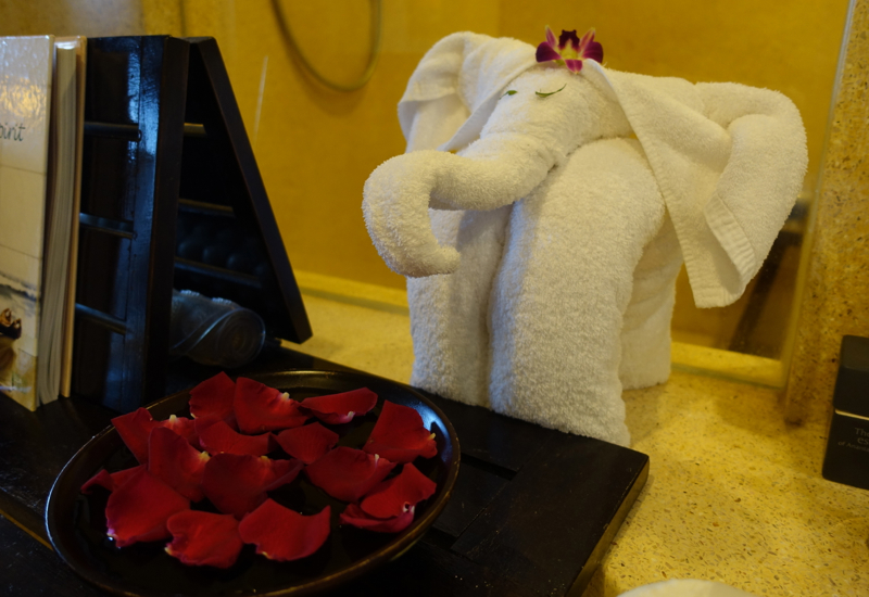 Towel Elephant, Anantara Golden Triangle Elephant Camp and Resort