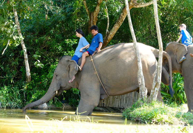 Descending the River Bank for Elephant Bathing, Anantara Mahout Experience