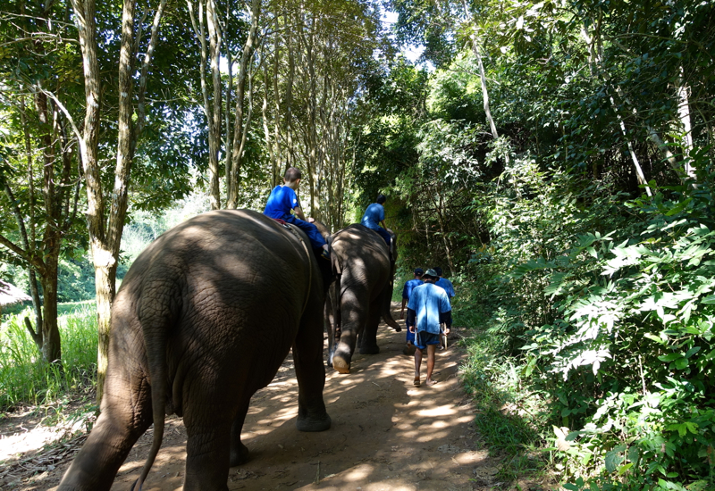 Setting Off on Our Nature Walk, Mahout Experience