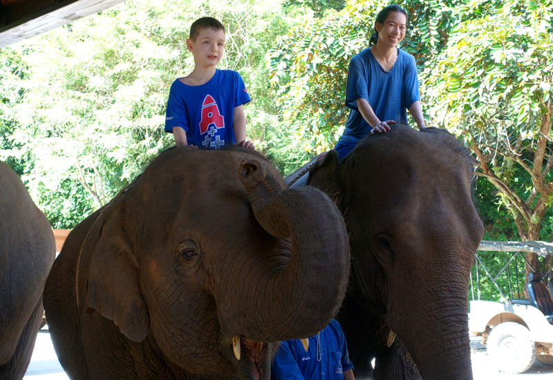 End of our Mahout Experience, Anantara Golden Triangle