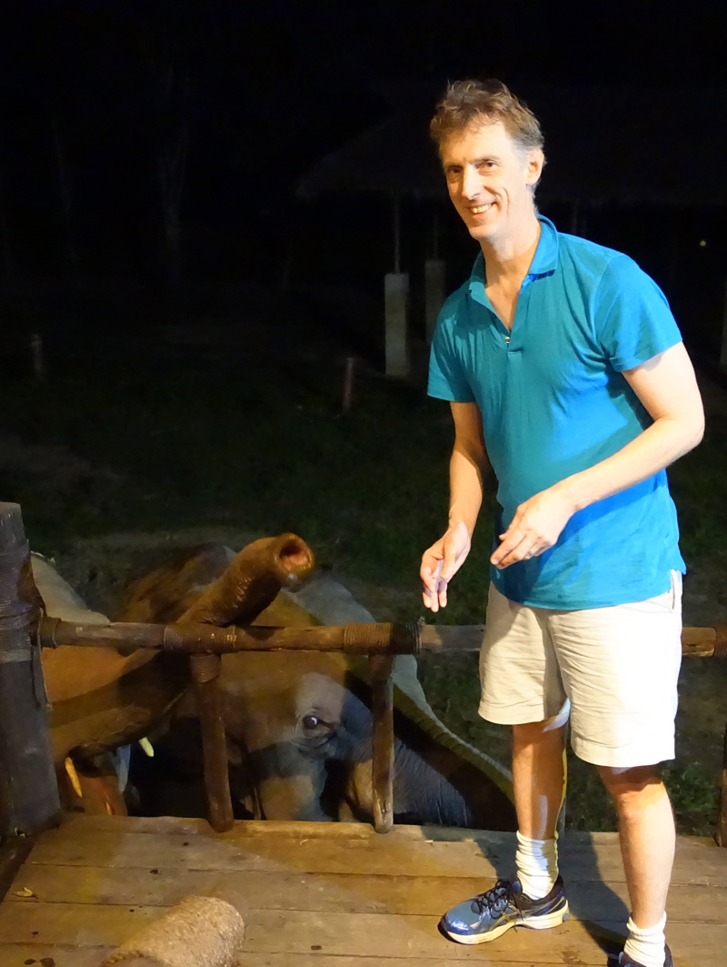 My Husband's Turn to Feed the Elephants, Dining by Design