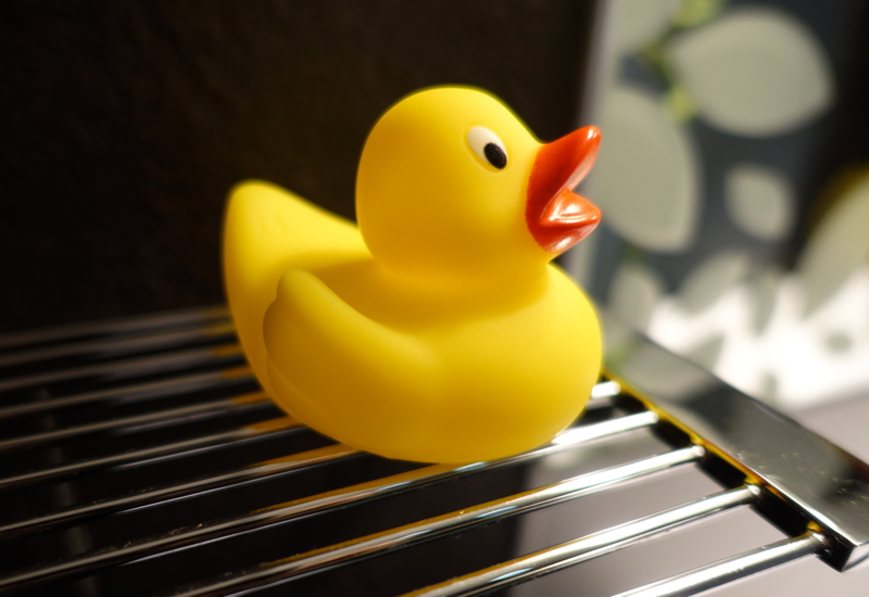 Moevenpick Stuttgart Airport Hotel - Rubber Ducky