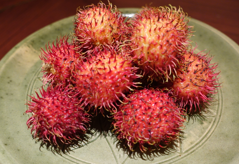 Rambutan Welcome Amenity, Park Hyatt Siem Reap Review