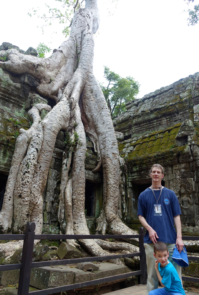 Tree Roots Taking Back Ta Prohm, Temple in the Jungle