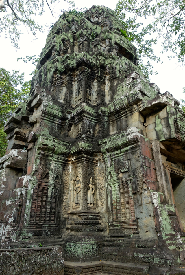 Ta Prohm Temple-Sandstone Carvings