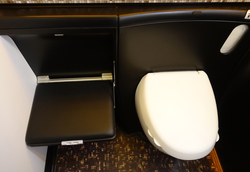 Etihad First Class Review 787-9 - Bathroom Fold Down Seat