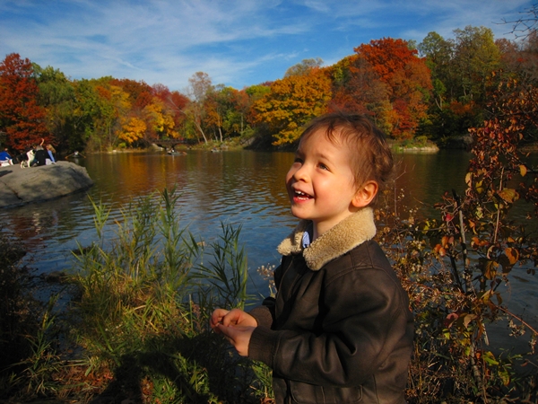 Fall in Central Park, New York