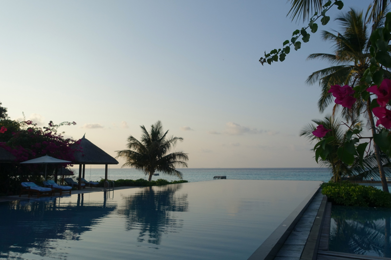 Four Seasons Maldives at Landaa Giraavaru Review - Olympic Sized Infinity Pool