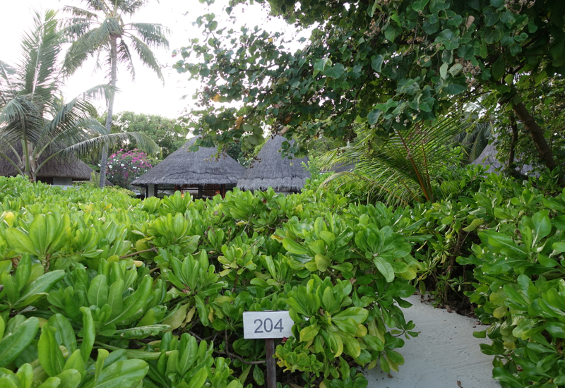 Beach Entrance to Beach Pavilion 204, Four Seasons Kuda Huraa