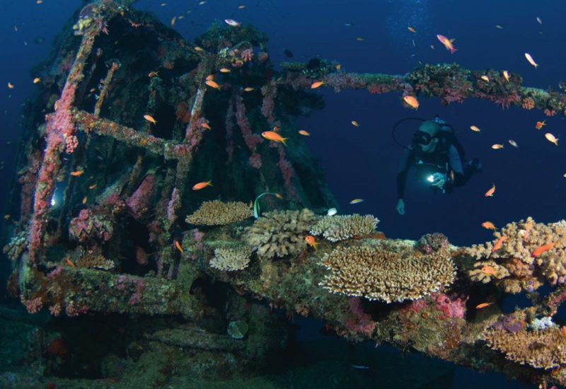 Four Seasons Kuda Huraa Things to Do-Wreck Diving