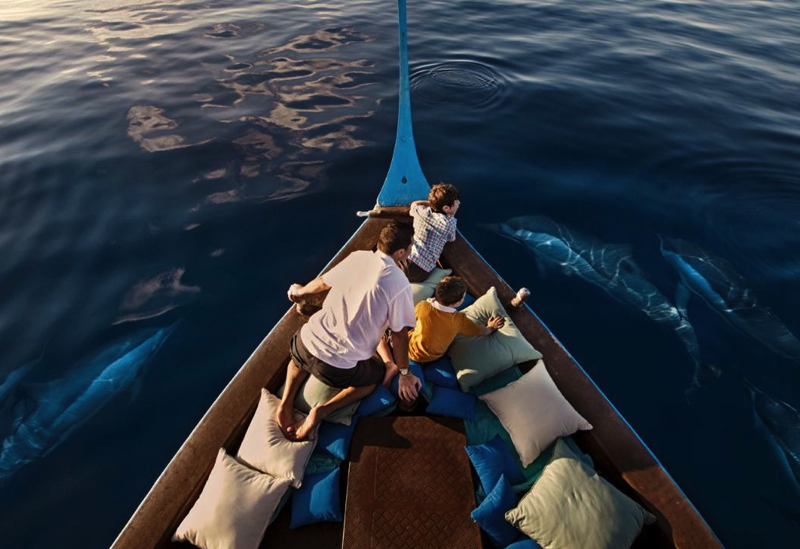 Dolphin Watching Cruise, Four Seasons Maldives at Kuda Huraa