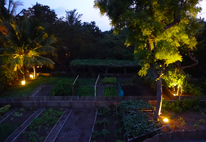 Organic Gardens, Fresh in the Garden, Soneva Fushi