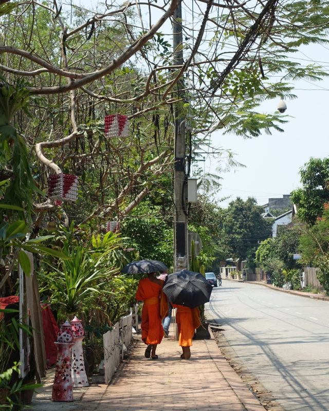 Walking Around Luang Prabang