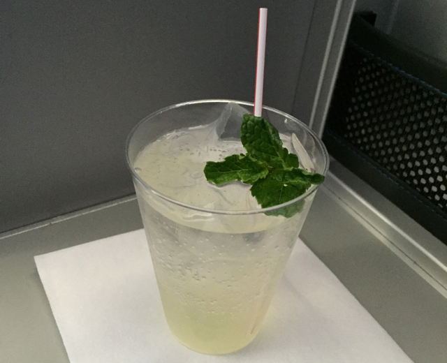 Refreshing Ginger Drink with Vodka and Mint, JetBlue Mint Review