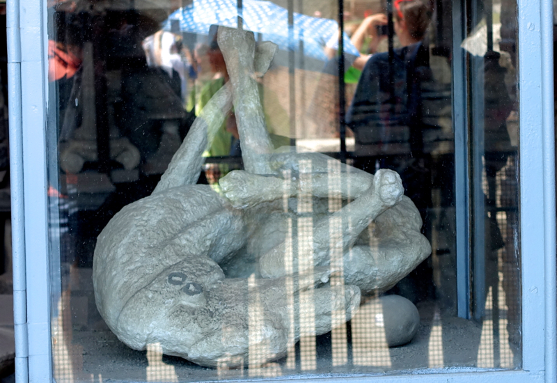 Plaster Cast of a Dog Victim of Pompeii