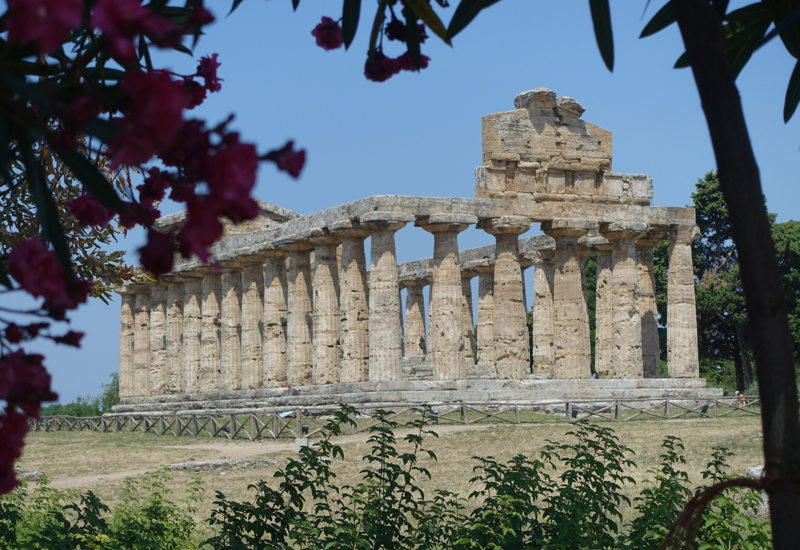 Paestum Review-Temple to Athena