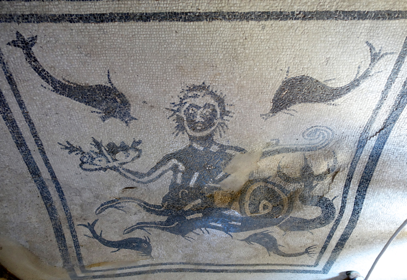 Herculaneum: Mosaic of Neptune and Dolphins, Tepidarium in Public Baths