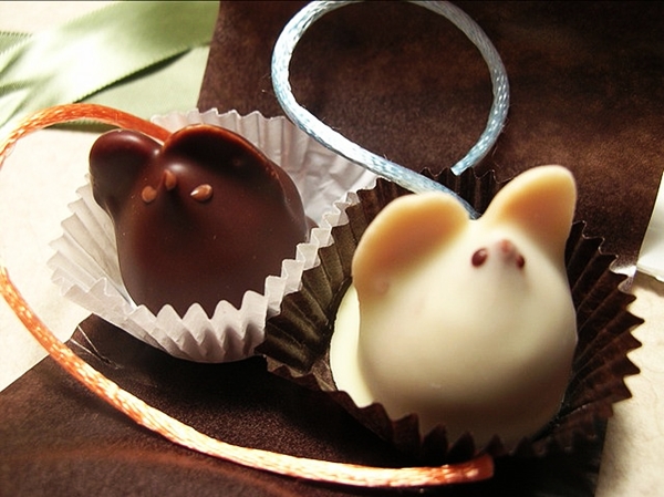 Chocolate mice at L.A. Burdick, Cambridge, Boston