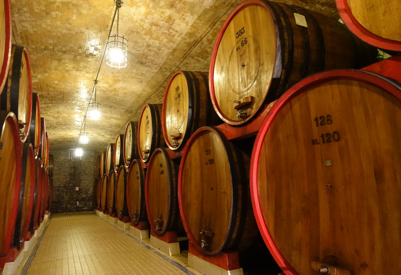 Castello Banfi Winery Tour: Giant French Oak Barrels