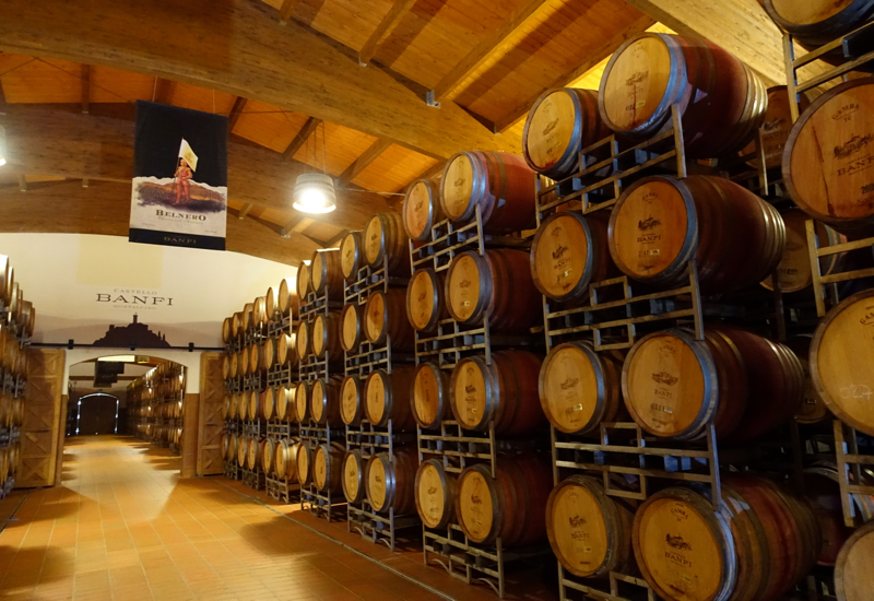 Castello Banfi Winery Tour: Aging in French Oak Barrels