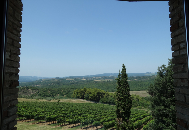 Castello Banfi Winery Tour and Wine Tasting at L'Enoteca