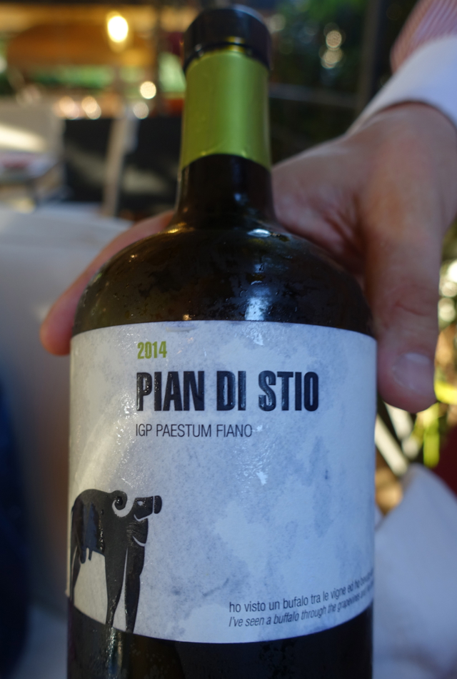 Pian Di Stio Fiano 2014