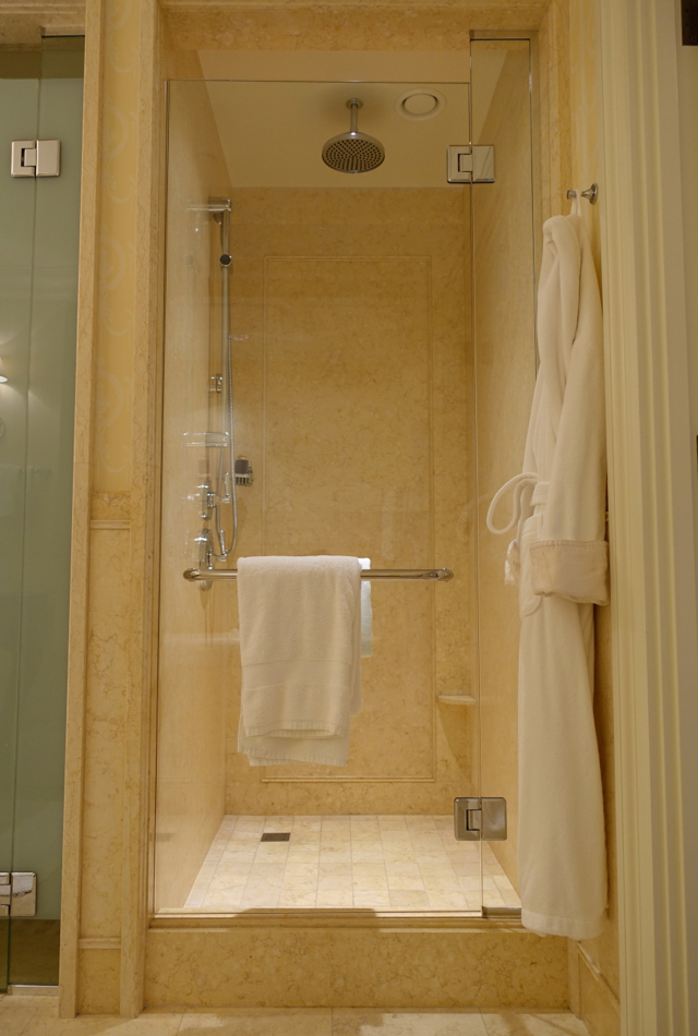 Rain Shower, Four Seasons St. Petersburg Russia Review