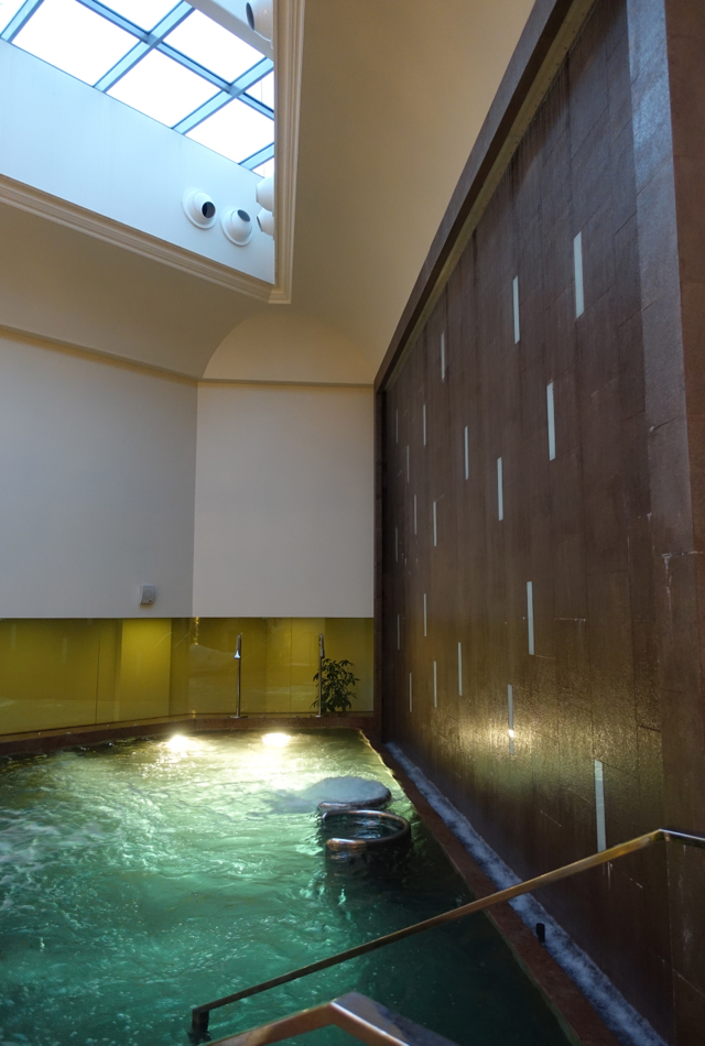 Vitality Pool, Spa at Four Seasons St. Petersburg Russia Review